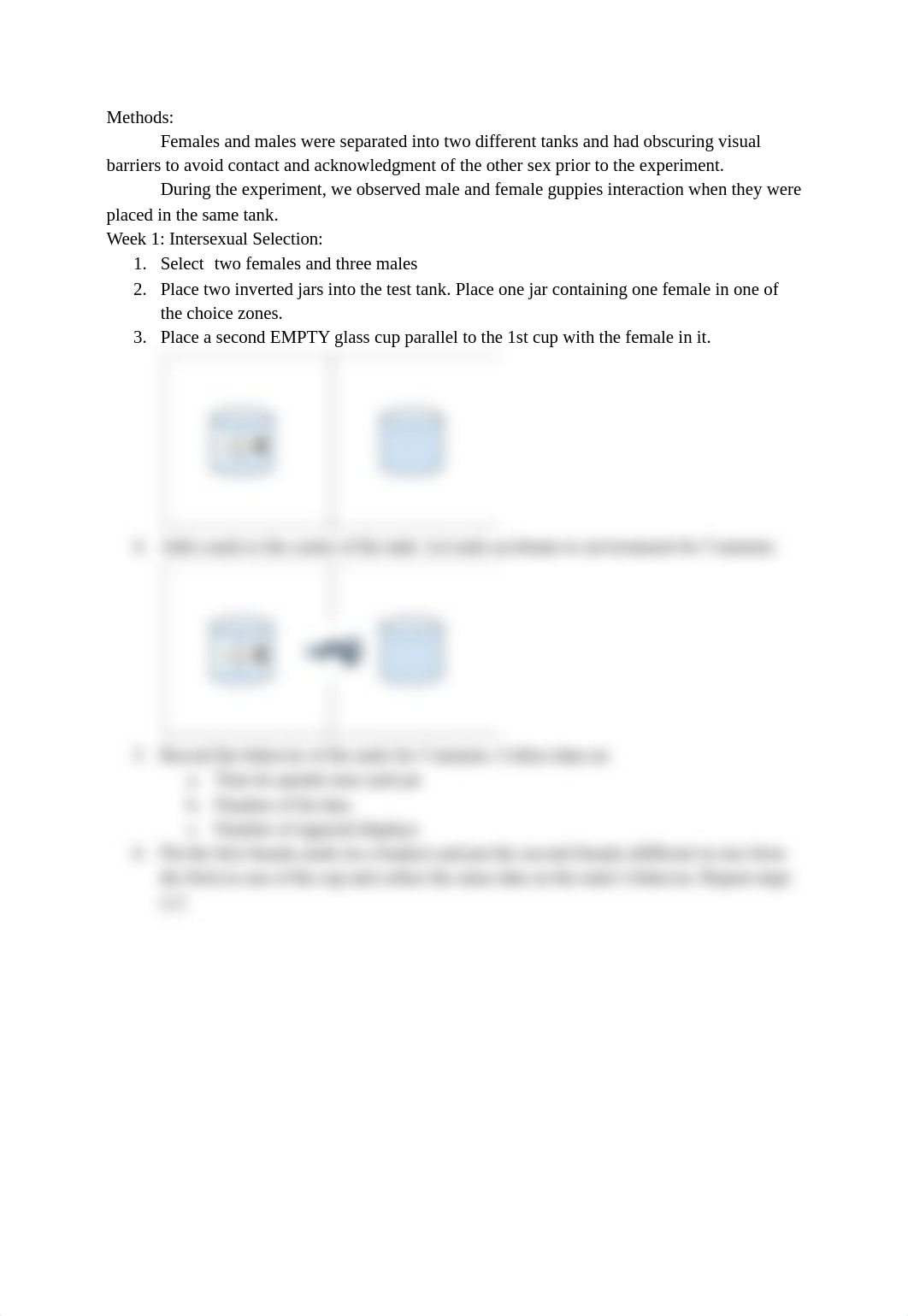 Sexual Selection in Guppies Lab #4 - Google Docs.pdf_d84z3x31kdl_page5