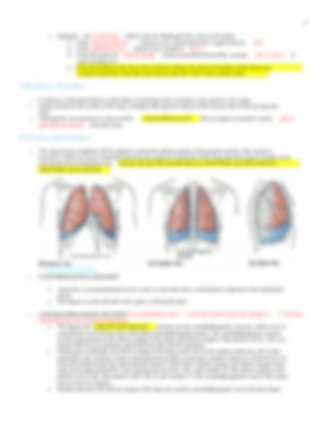 Anatomy - Lungs from GAS Pg. 159 - 175 - BL_d85le0djiv5_page3