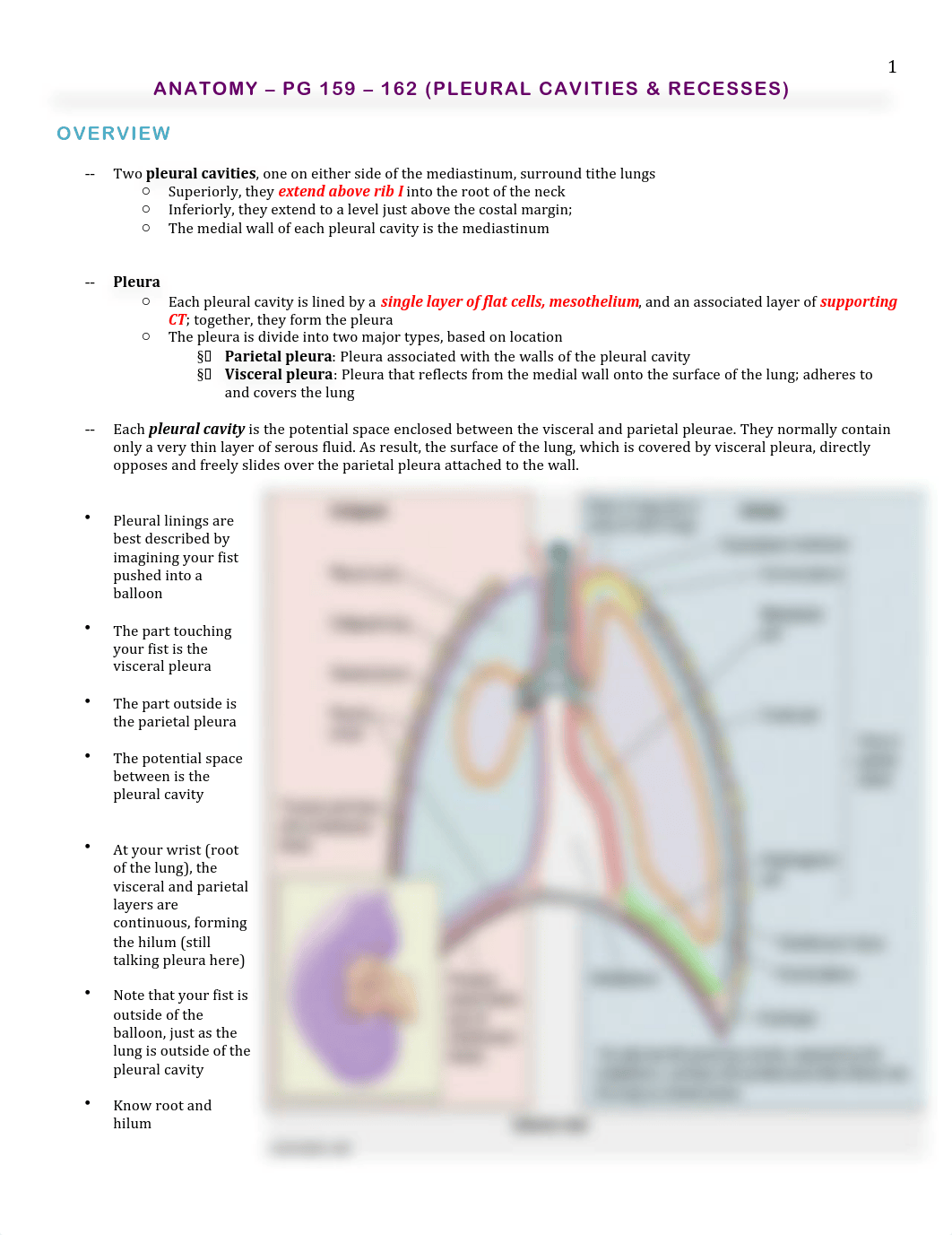 Anatomy - Lungs from GAS Pg. 159 - 175 - BL_d85le0djiv5_page1