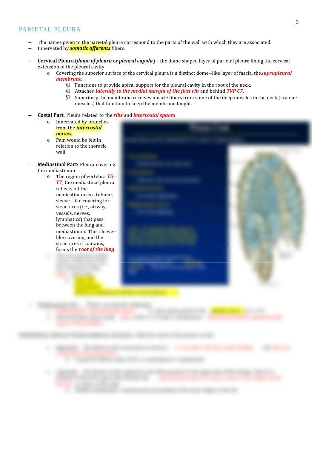 Anatomy - Lungs from GAS Pg. 159 - 175 - BL_d85le0djiv5_page2