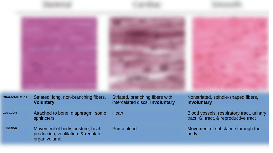 LAB HA&P EXAM 2_d85nnecsvpv_page2