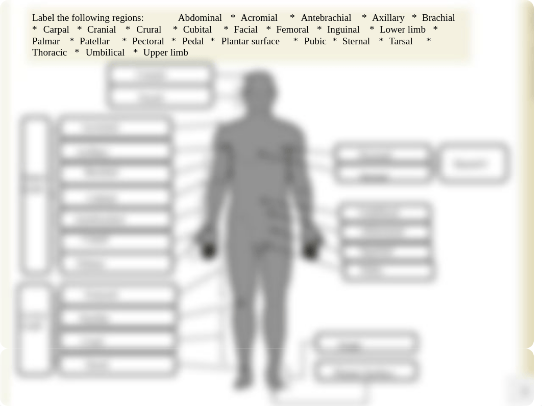 Pages from lab 1-3.pdf_d86na89deux_page1