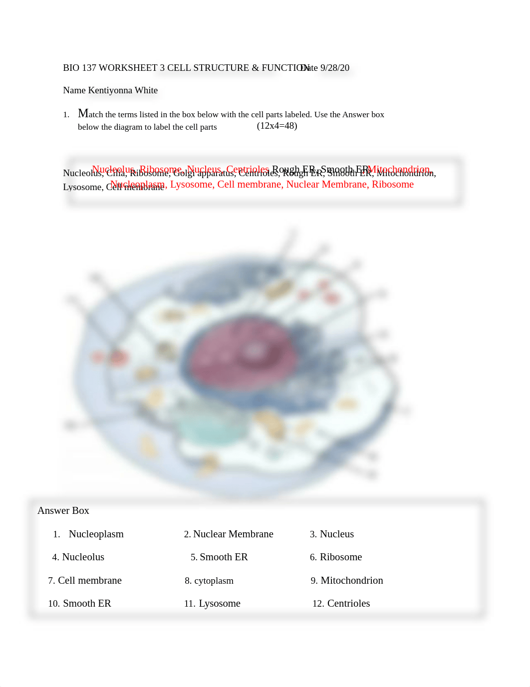 BIO 137 ws 3.docx_d86yk724r3r_page1