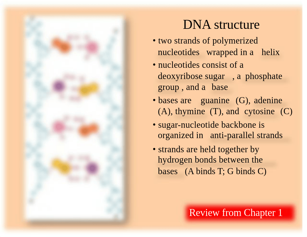 Exam 2 notes merged.pdf_d8720miikde_page5