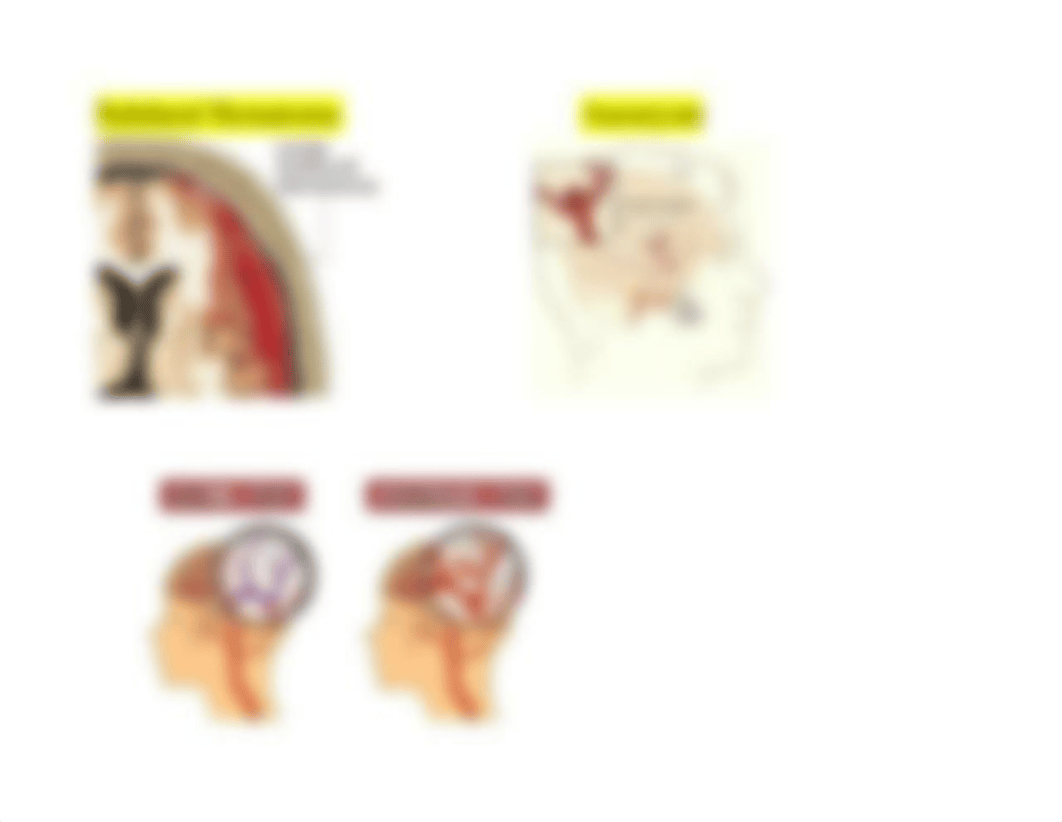 Cranial Nerve Chart.docx_d872csgb9s5_page5