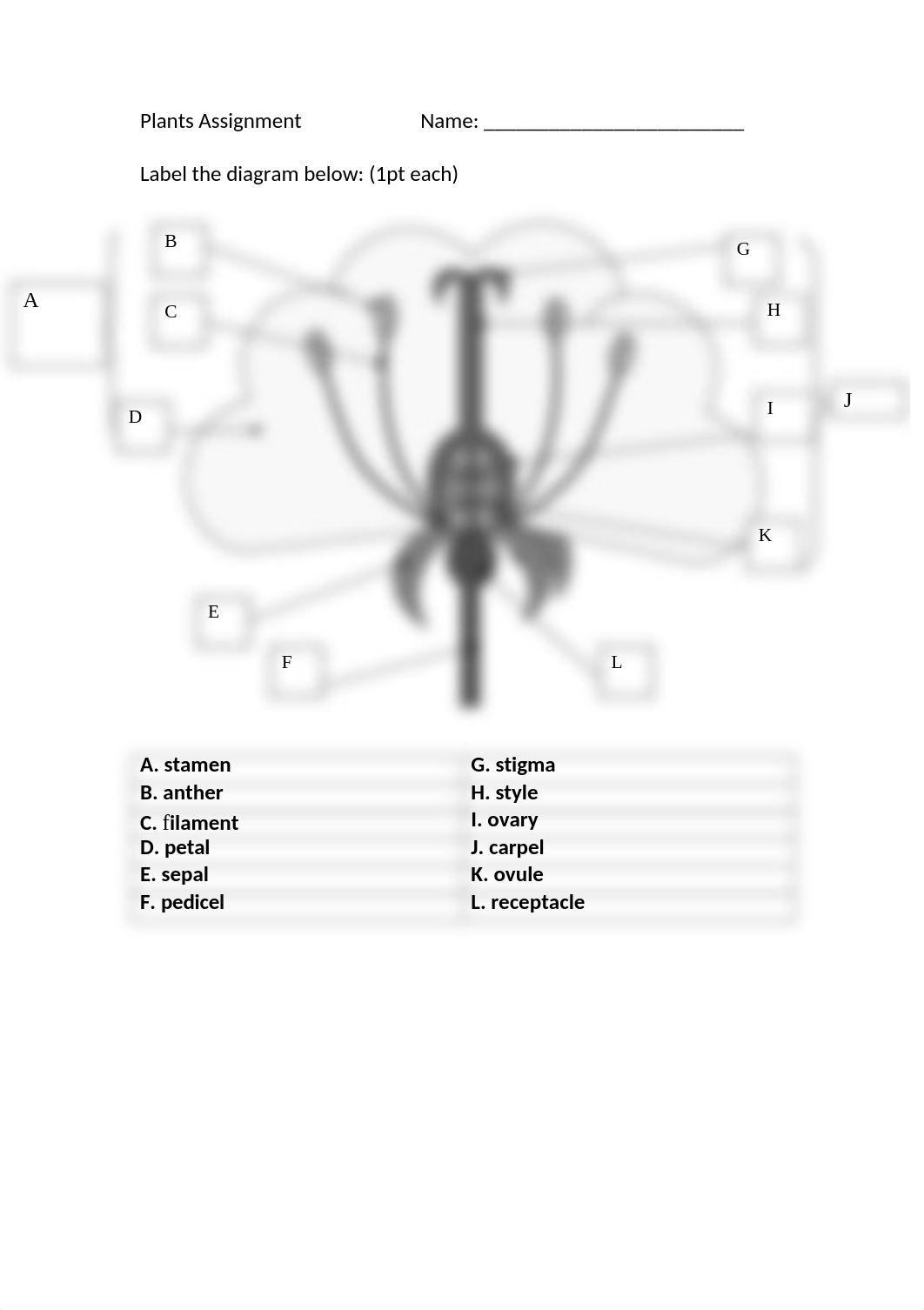 EXTRA CRED Plants HW.doc_d874ivienjo_page1