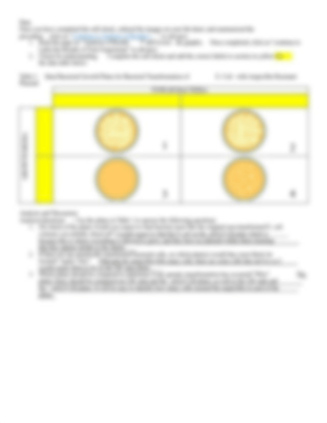 Bacteria Lab.pdf_d876rhqygpw_page3