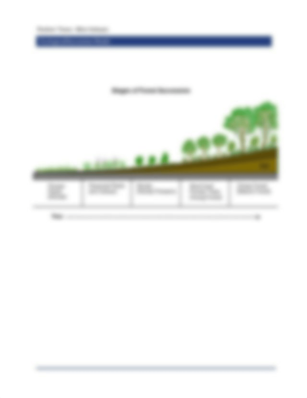 Kami Export - 10.9_EcologicalSuccessionModel_worksheet.pdf_d878x5qtcek_page2