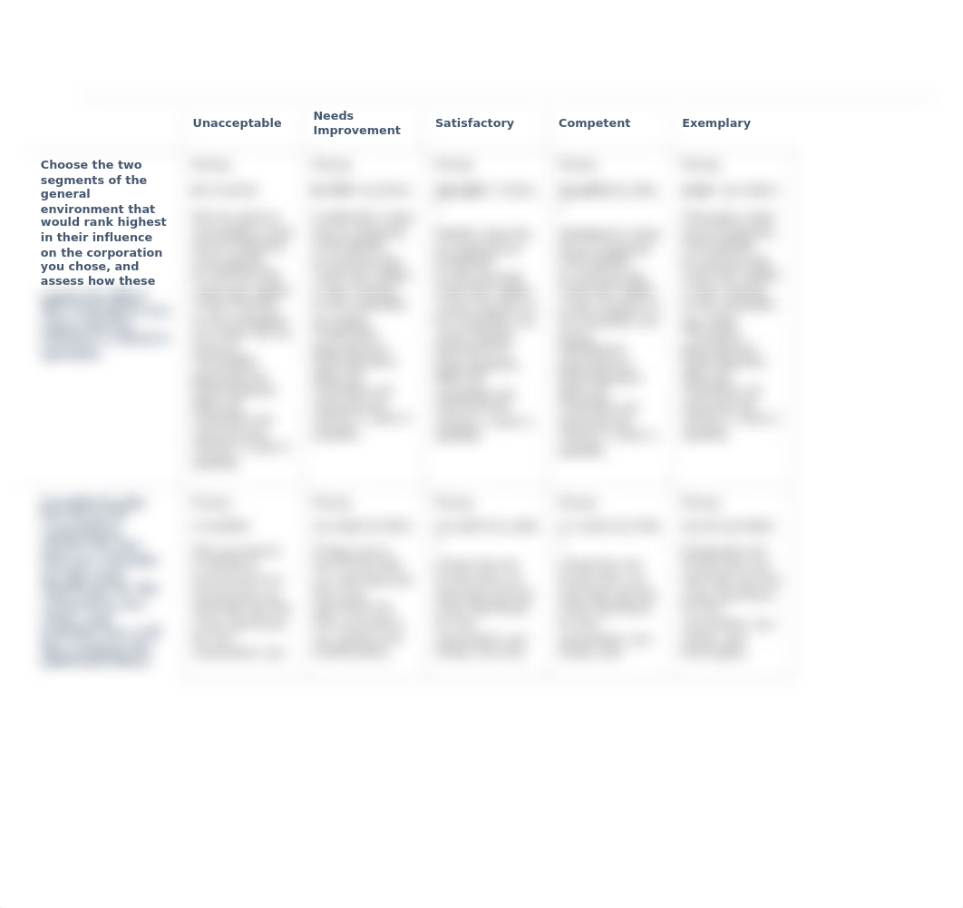 ExternalandInternalEnvironments_QuestionRUBRICS.docx_d87a60ikagr_page4