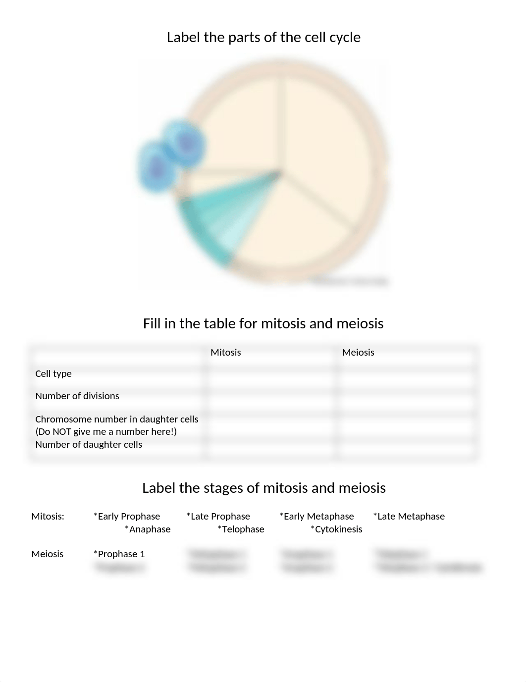 Mitosis and Meiosis.docx_d87d2nnddeu_page1