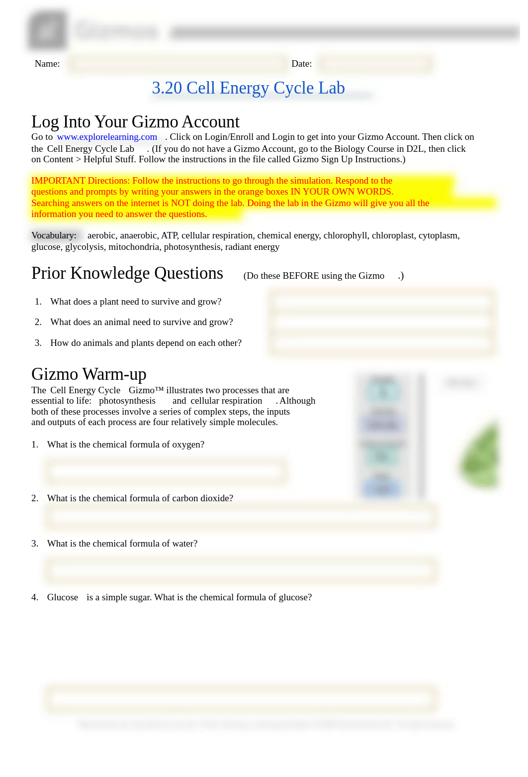 3.20 Cell Energy Cycle Lab.docx_d87h16cvhyp_page1