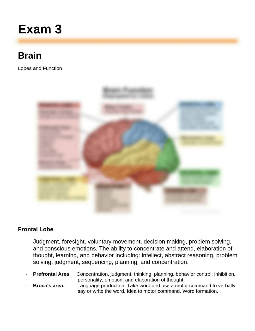 Exam 3 Neuro Study Guide.docx_d87yfl11smz_page1