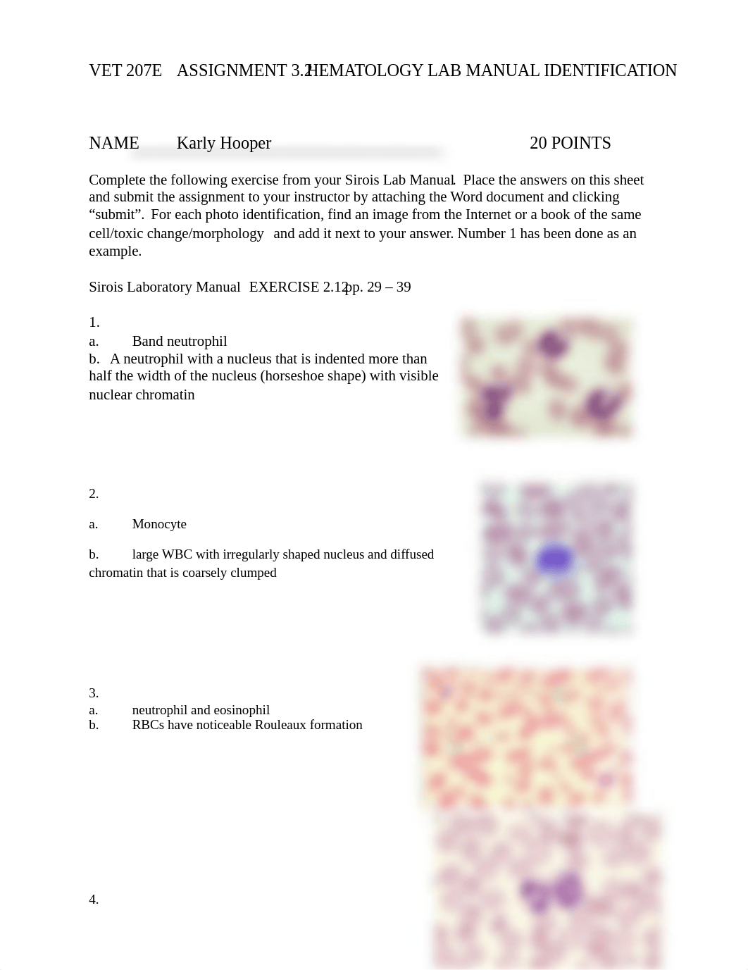 Assignment 3.2 Hematology Lab Manual Identification - ANSWERED.docx_d88dhyytko0_page1