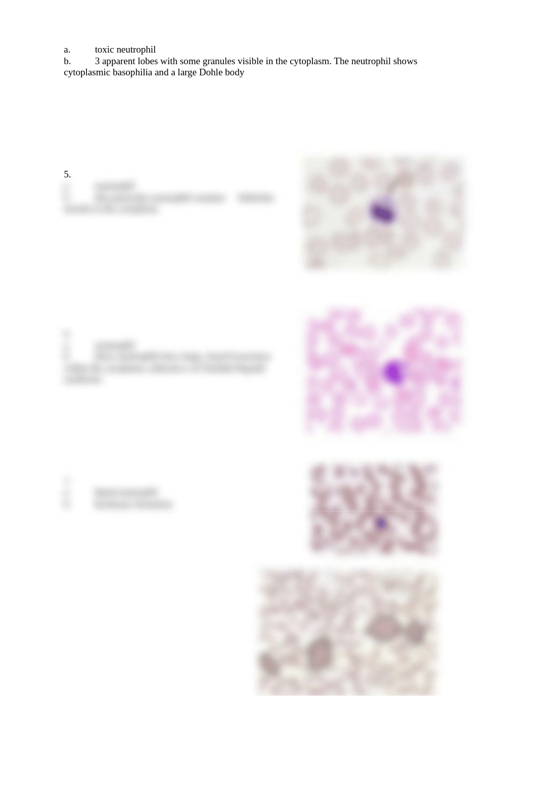 Assignment 3.2 Hematology Lab Manual Identification - ANSWERED.docx_d88dhyytko0_page2