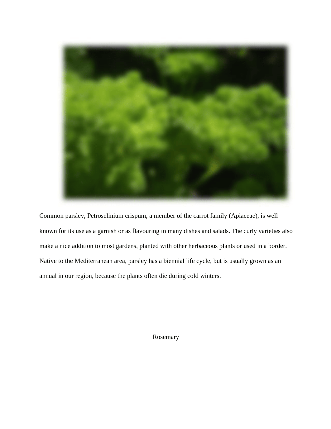 herbs.docx_d88tq2fvupe_page5