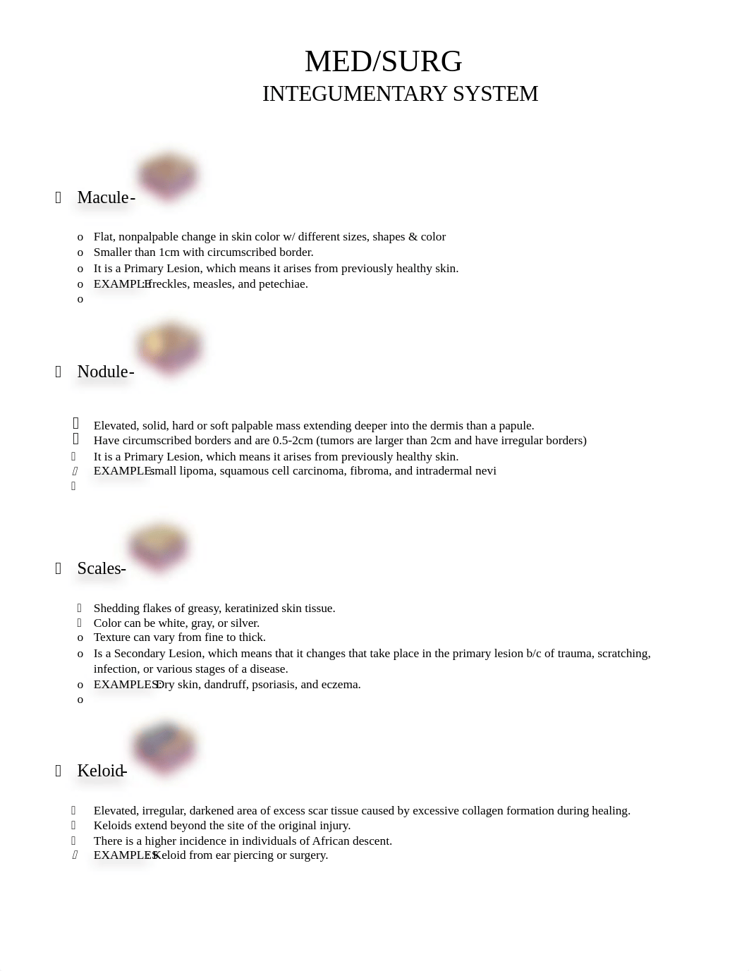 Study Guide - Integumentary System.docx_d88y5lg7ona_page1