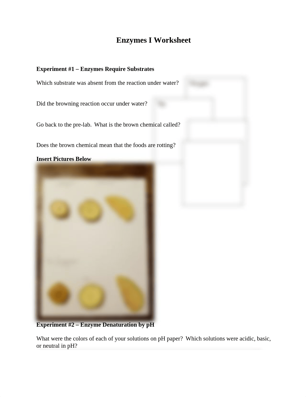 Enzymes I Worksheet_d88yspqqed0_page1