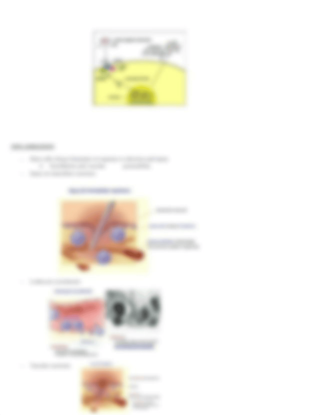 MICROBIOLOGY UNIT III EXAM.docx_d892d6elp35_page4