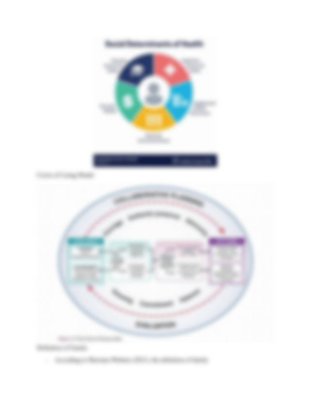 Week 1.1 Family Theory and the FNP Role.docx_d8931ffm1u2_page3