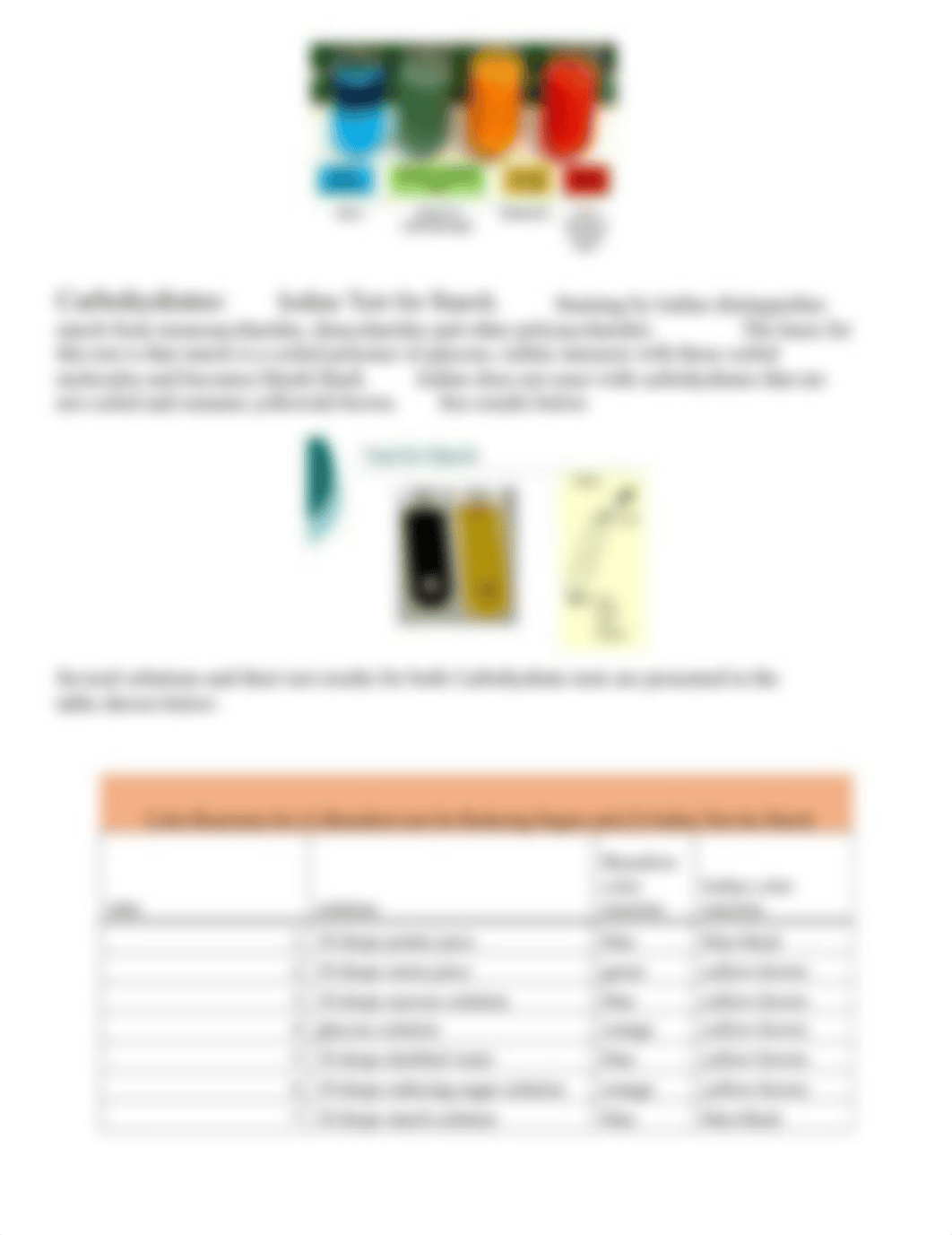 Lab 4 Biologically Important Molecules Lab Bio121(1).pdf_d8951481wmo_page2