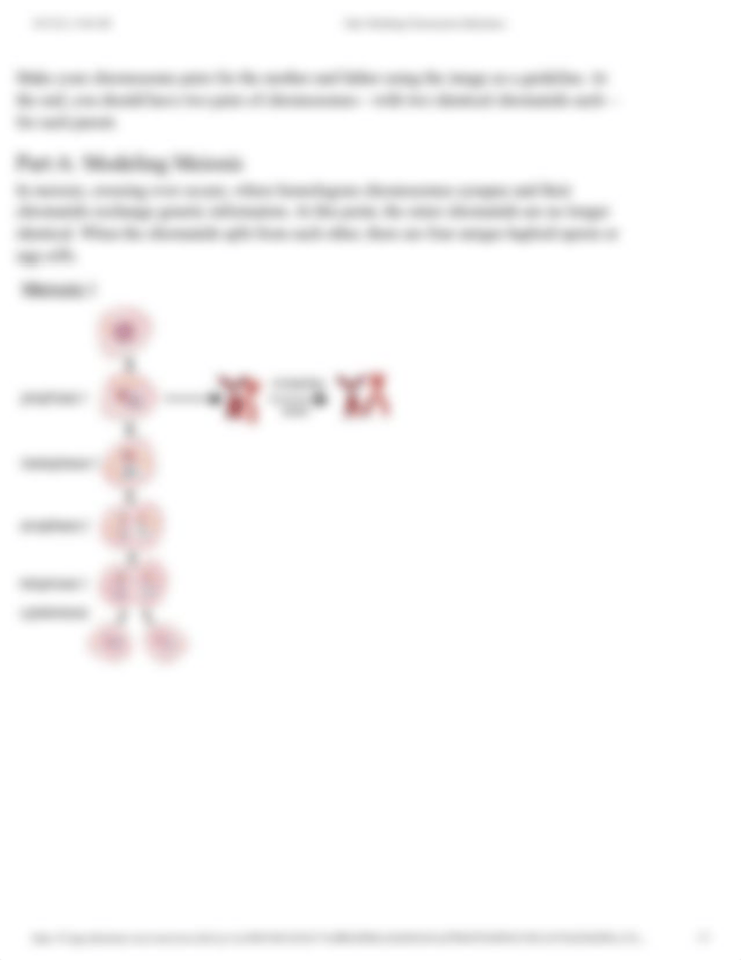 Course Activity_ Genetic Models.pdf_d895lsmcd5u_page3