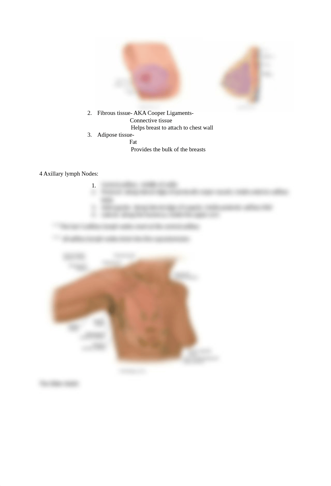 health assessment- breast part 1.docx_d899jzz1ggx_page2