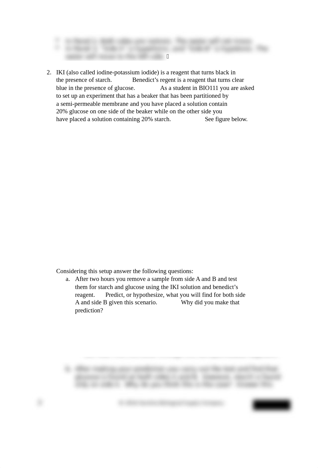 Lab_Report_Eukaryotes_Prokaryotes_and_Viruses BIO111.docx_d89d5biotk7_page3