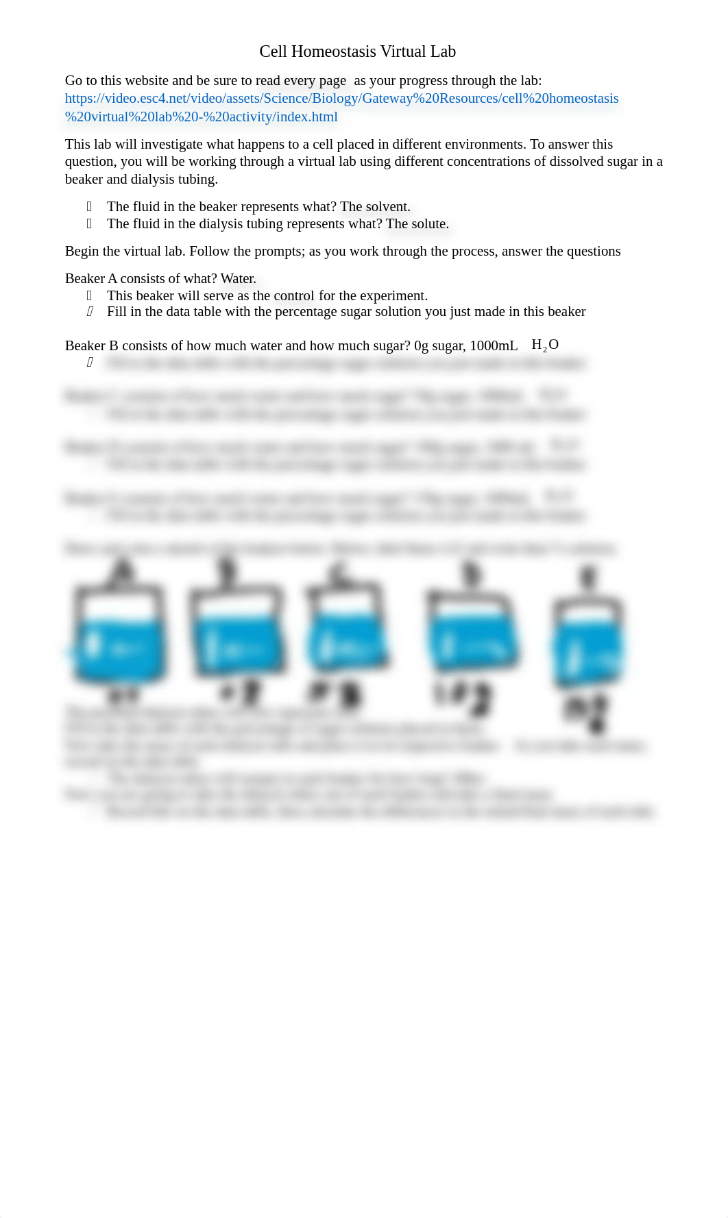Cell Homeostasis Virtual Lab (1).docx_d89dyxw64xl_page1