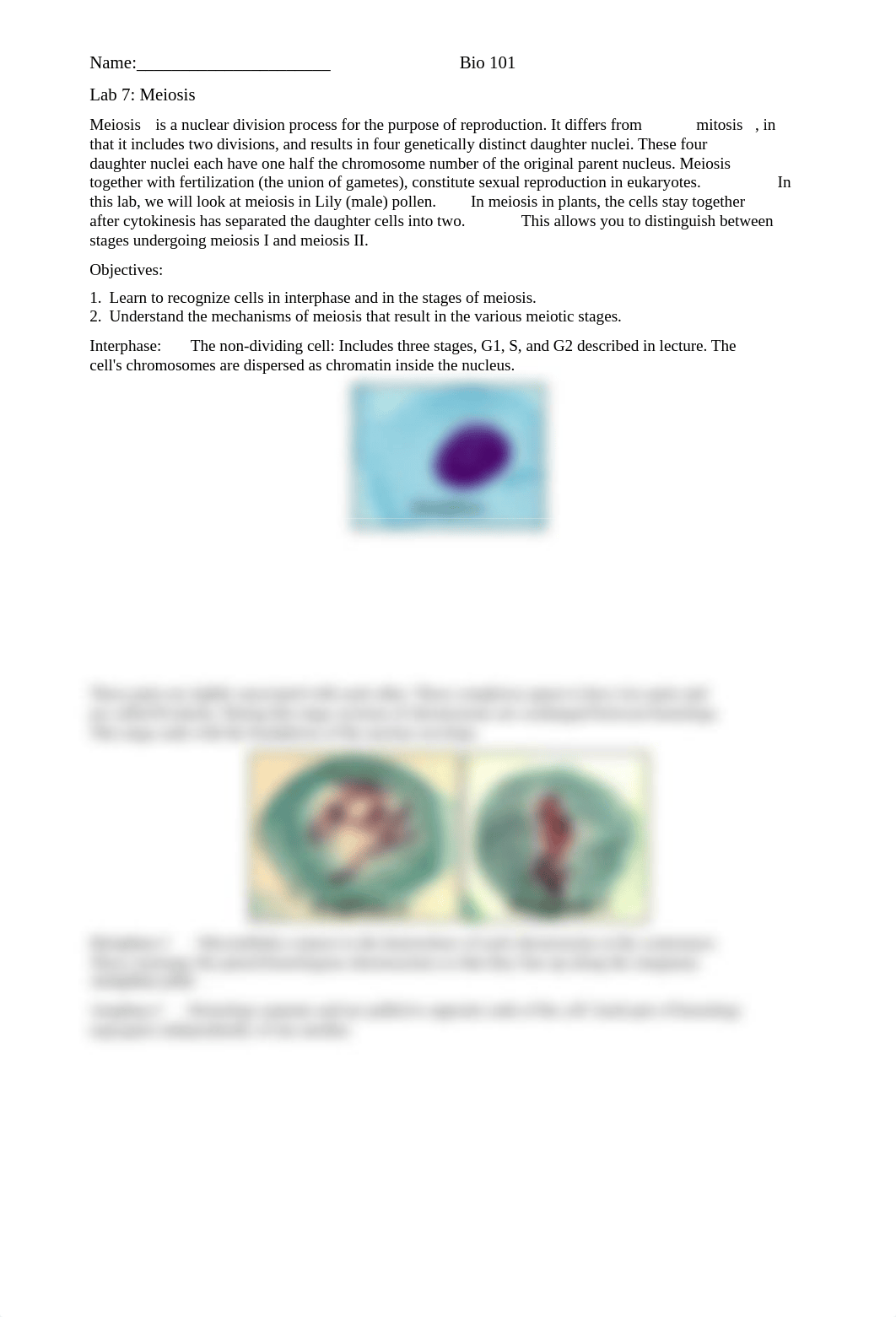 Bio101+Lab+7+Meiosis.pdf_d89thki3pbp_page1