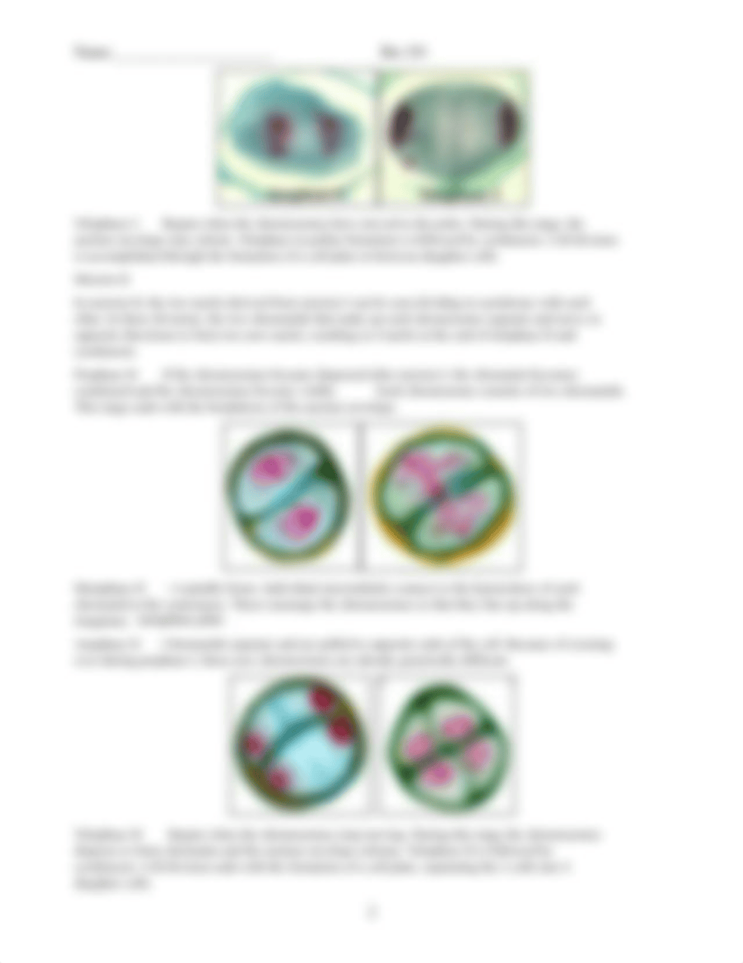 Bio101+Lab+7+Meiosis.pdf_d89thki3pbp_page2