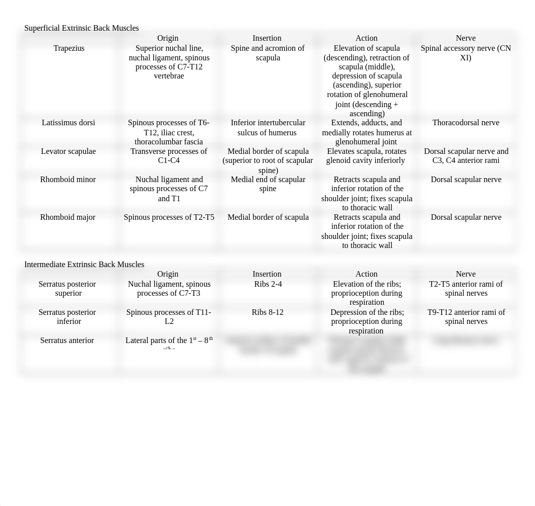 Muscles Chart.docx_d8a2p3wsma1_page1