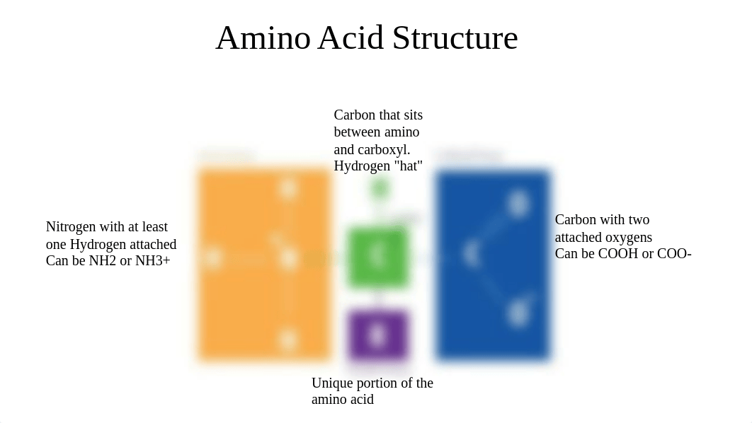 Amino Acids and Proteins Recorded Cohort Slides.pdf_d8af3jac5hp_page4