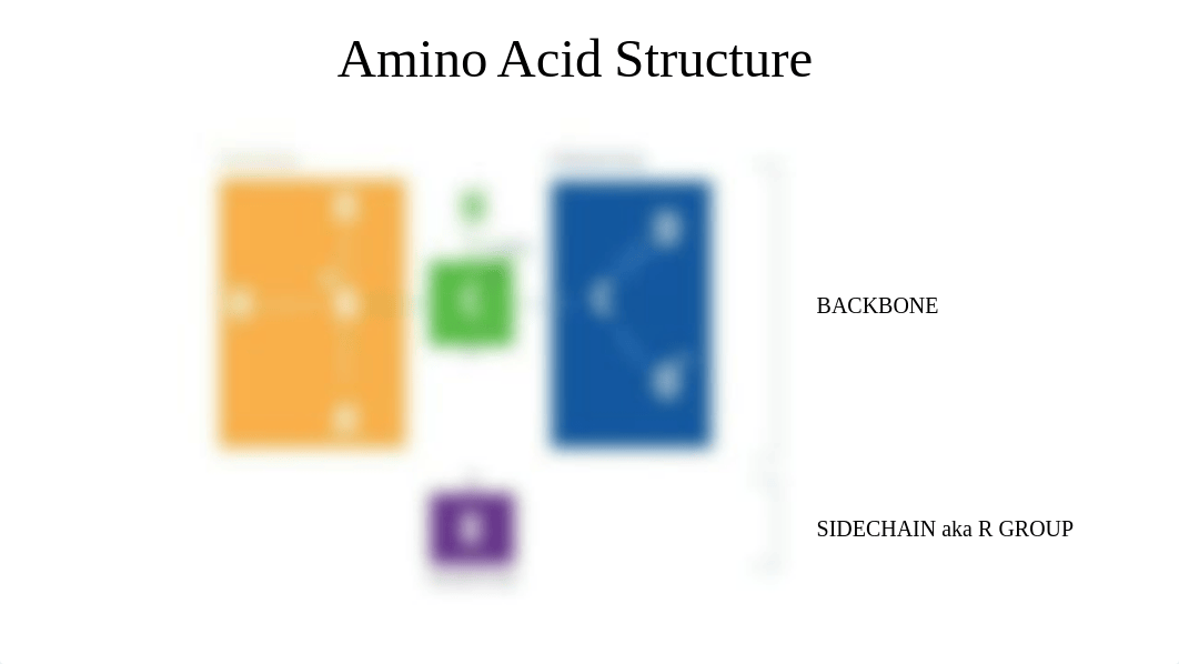 Amino Acids and Proteins Recorded Cohort Slides.pdf_d8af3jac5hp_page5