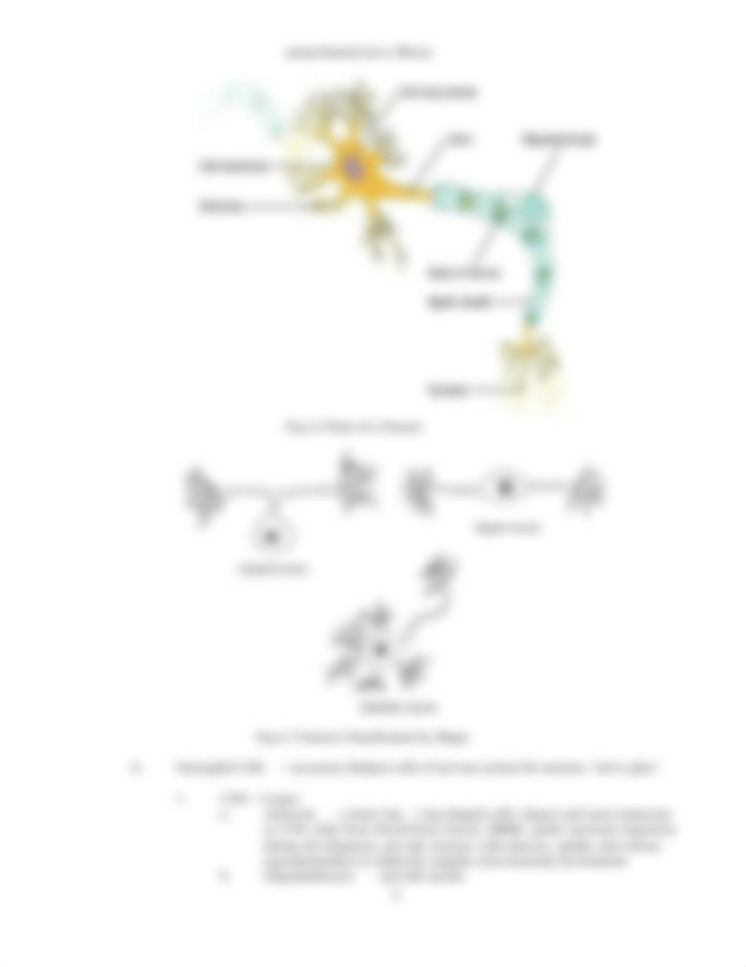 BIO 201 Lab 6A.docx_d8agro97pgi_page3