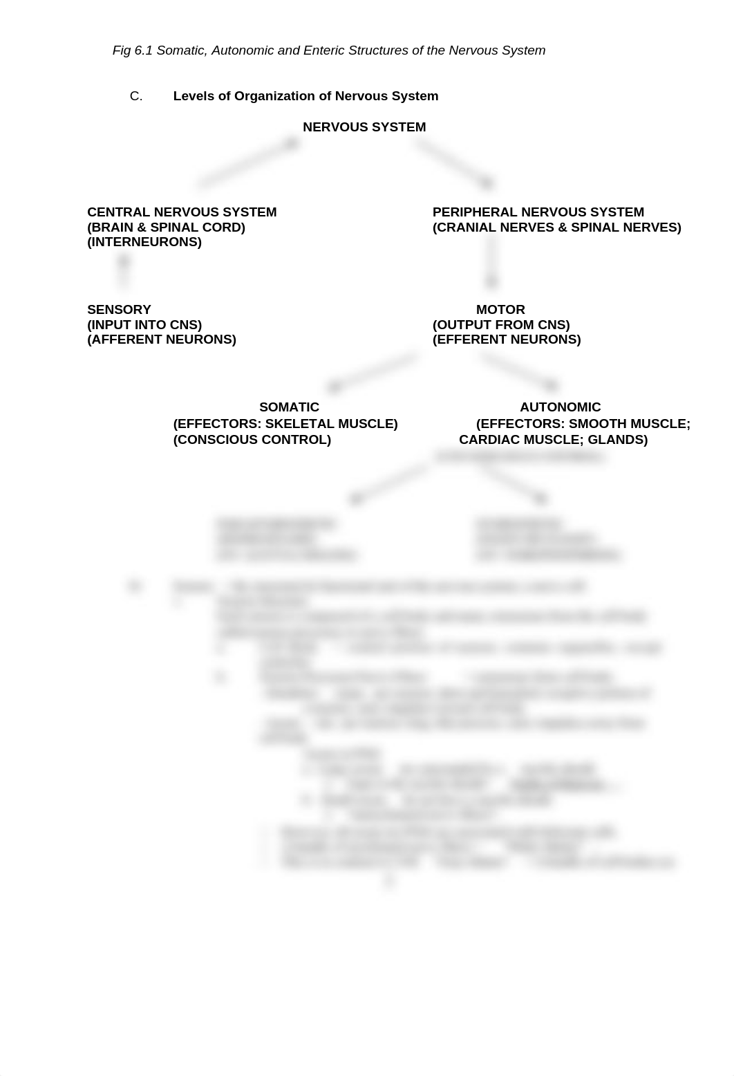 BIO 201 Lab 6A.docx_d8agro97pgi_page2