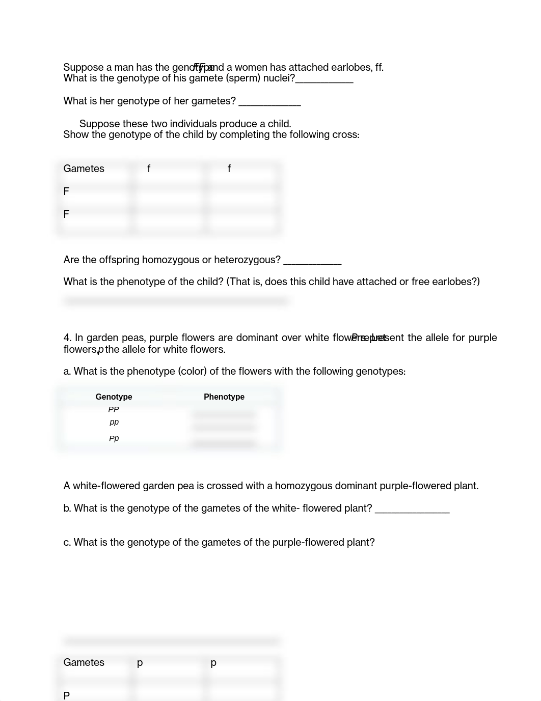 assignment8.pdf_d8an4vwiezl_page1