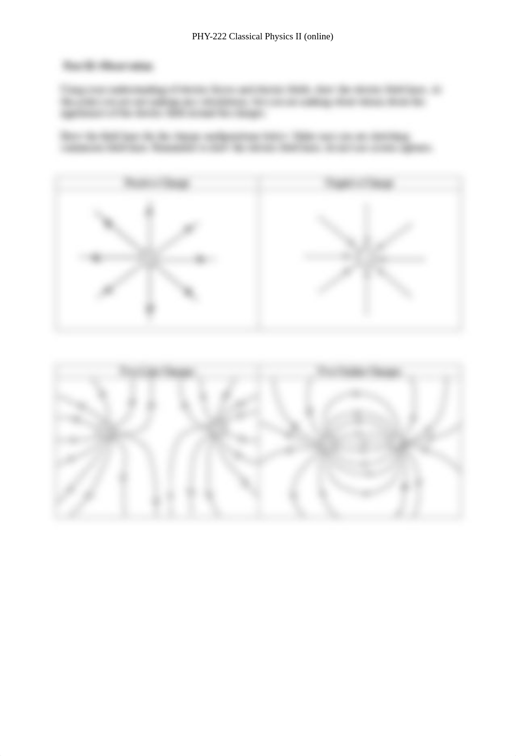 Charges_and_Fields Lab.pdf_d8at2lh3w0w_page3