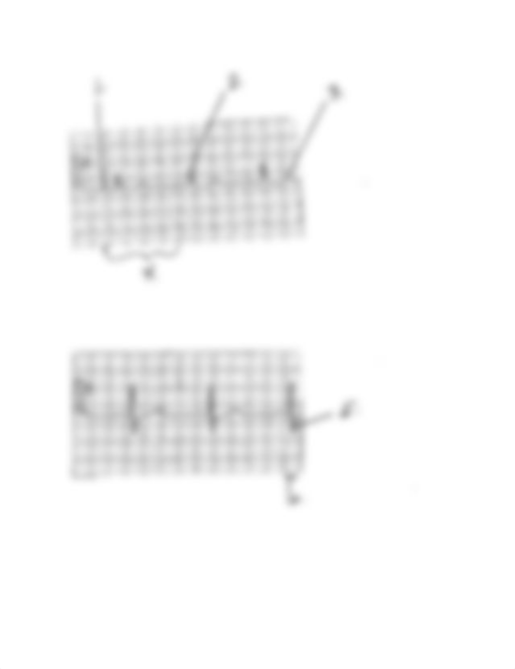 ANAT II Lab 4 B Heart Function sp16.docx_d8az8e0tt9q_page2