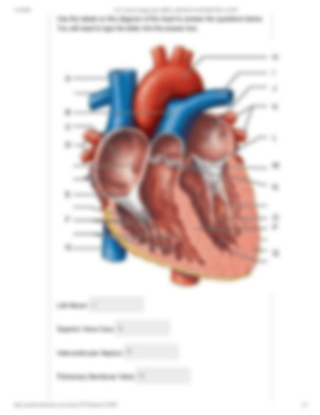 Ch 21 End of Chapter Quiz_ BIOL-2-HUMAN ANATOMY-M1LA-42707.pdf_d8b81pnpz7q_page2