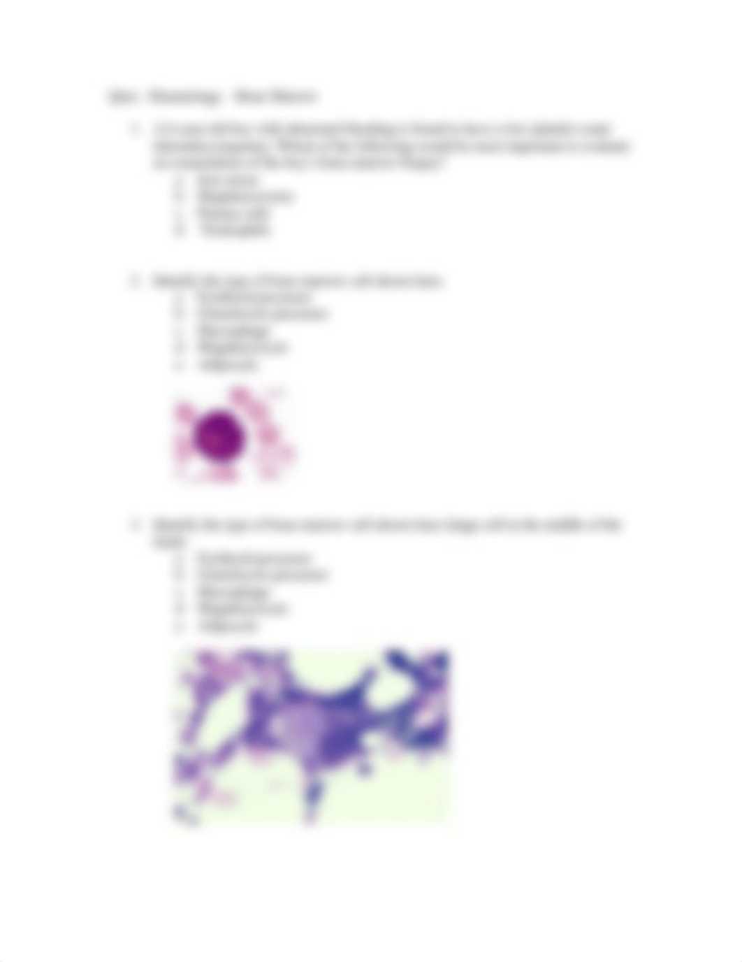 Quiz-Hematology_d8bbraar3aq_page2