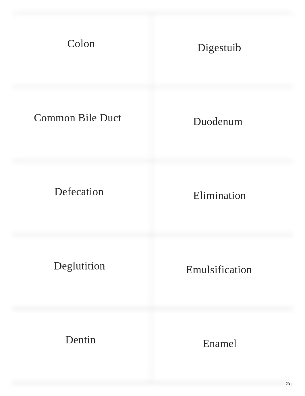 Digestive Vocab_d8bgbgvvist_page3