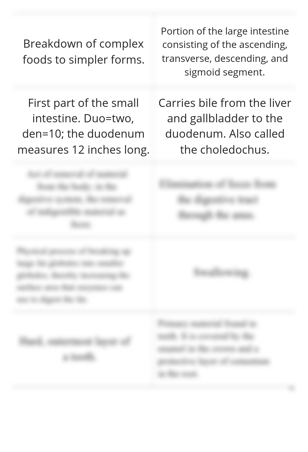 Digestive Vocab_d8bgbgvvist_page4