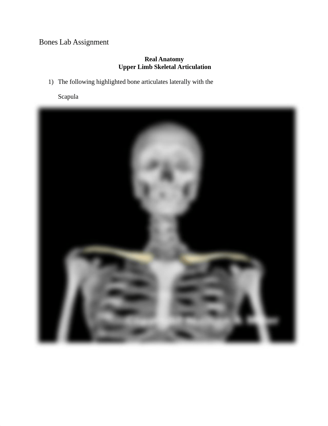 13_upper_limb_skeletal_articulation_Worksheet.docx_d8bijj0jhmm_page1