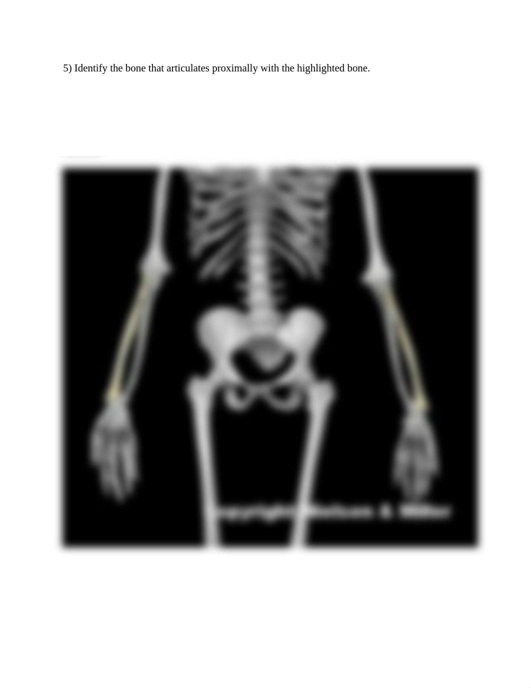 13_upper_limb_skeletal_articulation_Worksheet.docx_d8bijj0jhmm_page5