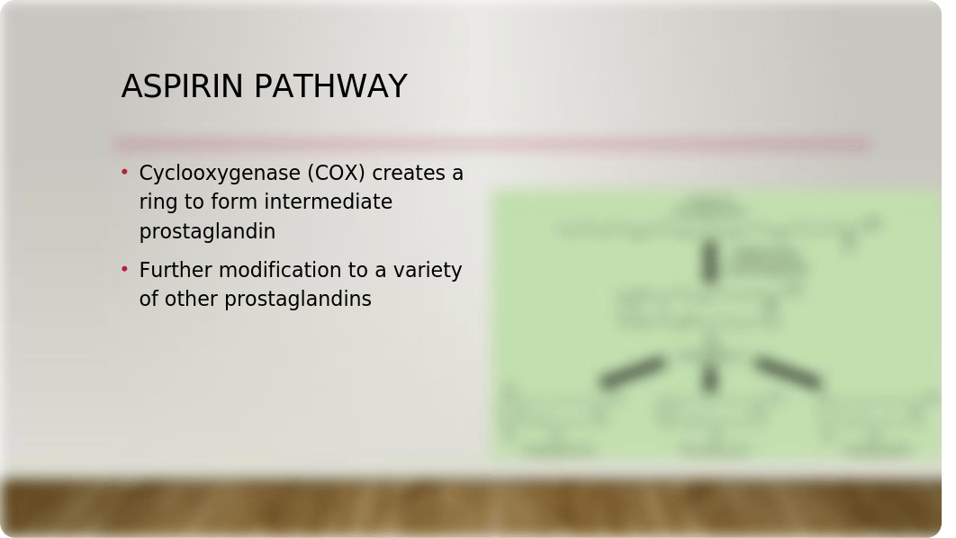 GAC 6 Aspirin.pptx_d8c1gaql2d9_page5
