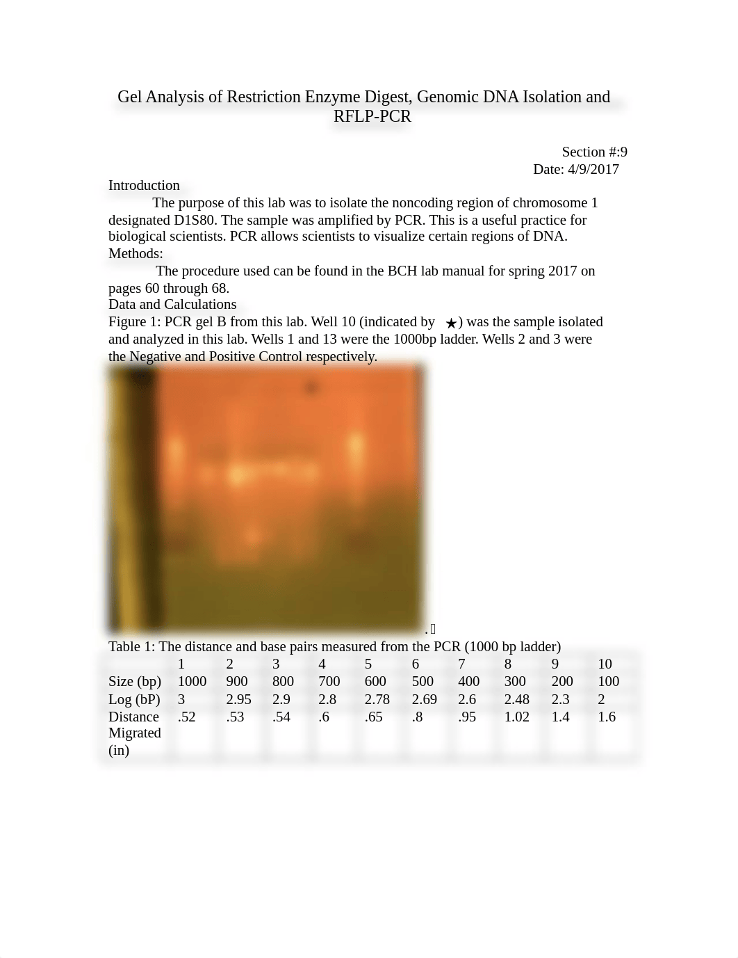 Gel_Analysis_of_Restriction_Enzyme_Digest.docx_d8c2u3vnjy6_page1