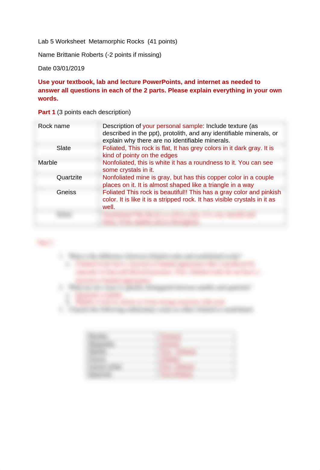 Lab 5 Worksheet  Meta.docx_d8c5pk20543_page1