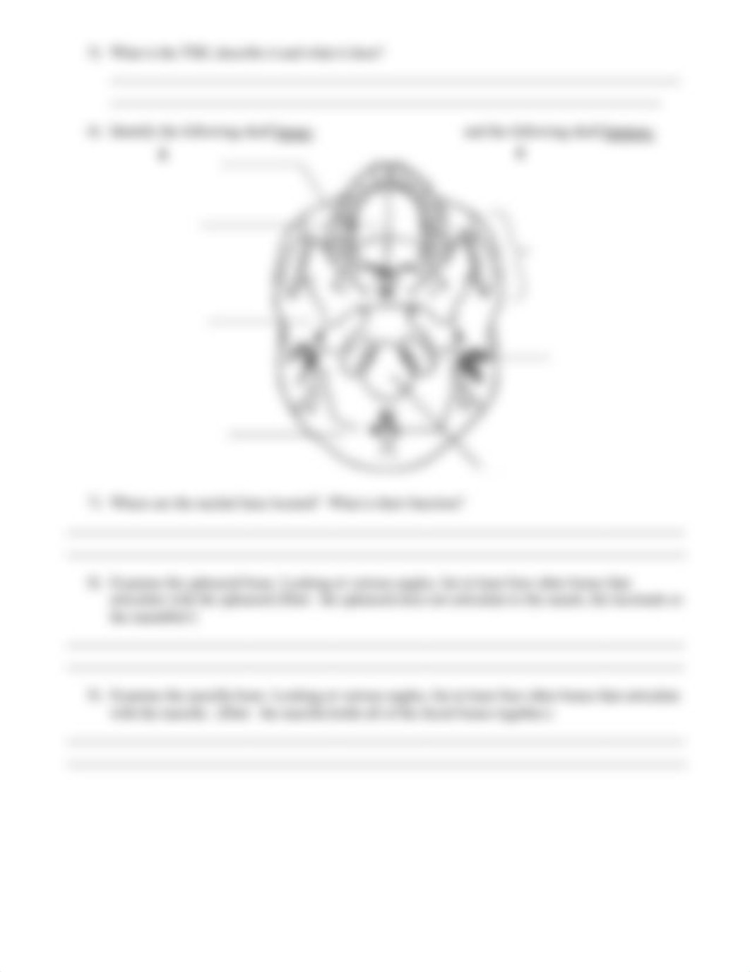 Osteo and Axial Worksheet.pdf_d8c6zqt5ji1_page3