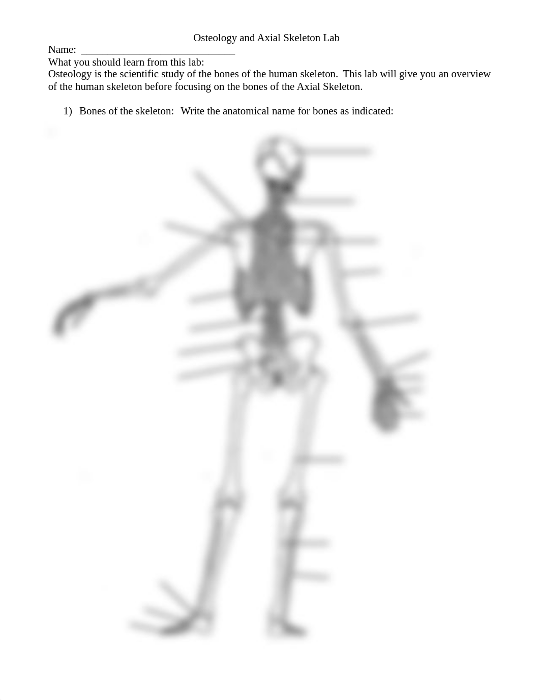 Osteo and Axial Worksheet.pdf_d8c6zqt5ji1_page1