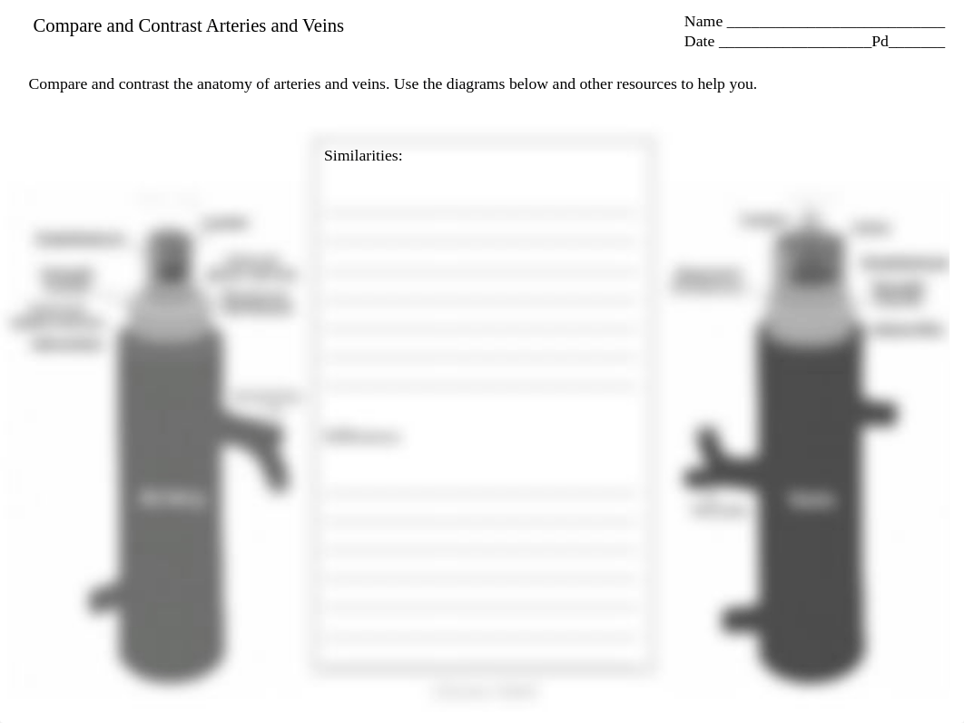 14 Compare Contrast Arteries and Veins.pptx_d8c70pe3uw0_page2